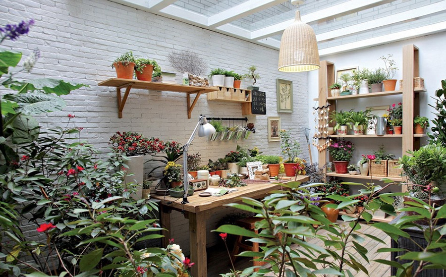 1559635668199220.jpg 2.jpg